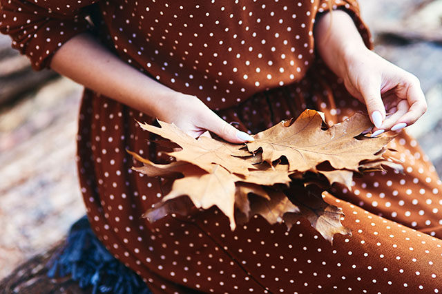 Nature's treasures - and amazing crafting materials to boot!
