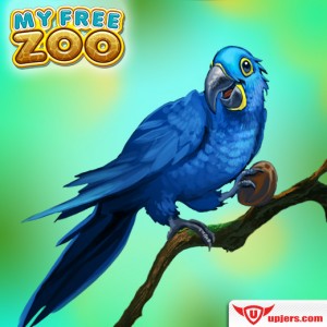 fb_mfz_hyacinth_macaw