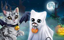 Halloween - Geister, verkleidete Katzen als Fledermaus und Geist, Eule und ausgeschnitzte Kürbisse